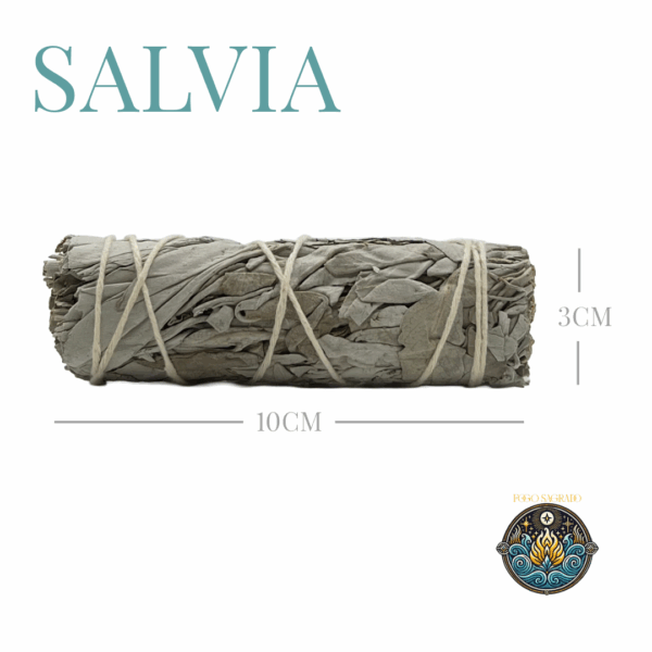Salvia Blanca