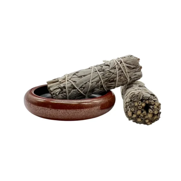 Kit Salvia Blanca