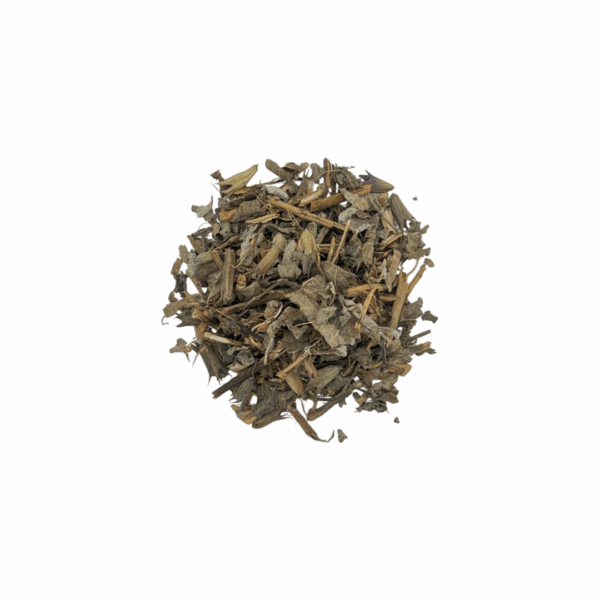 Salvia Blanca